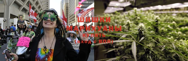 мескалин Богданович
