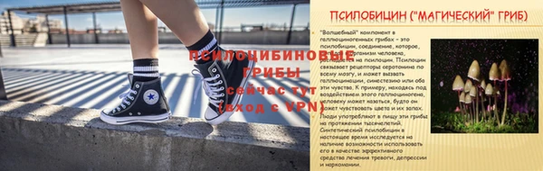 скорость Богородицк