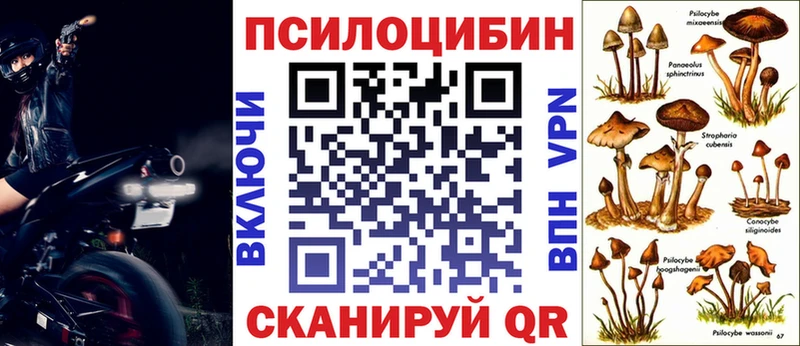 купить  цена  Великий Новгород  Галлюциногенные грибы Magic Shrooms 